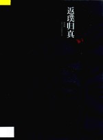 返璞归真  邓林七十岁回顾展作品集  瓷器篇 封面