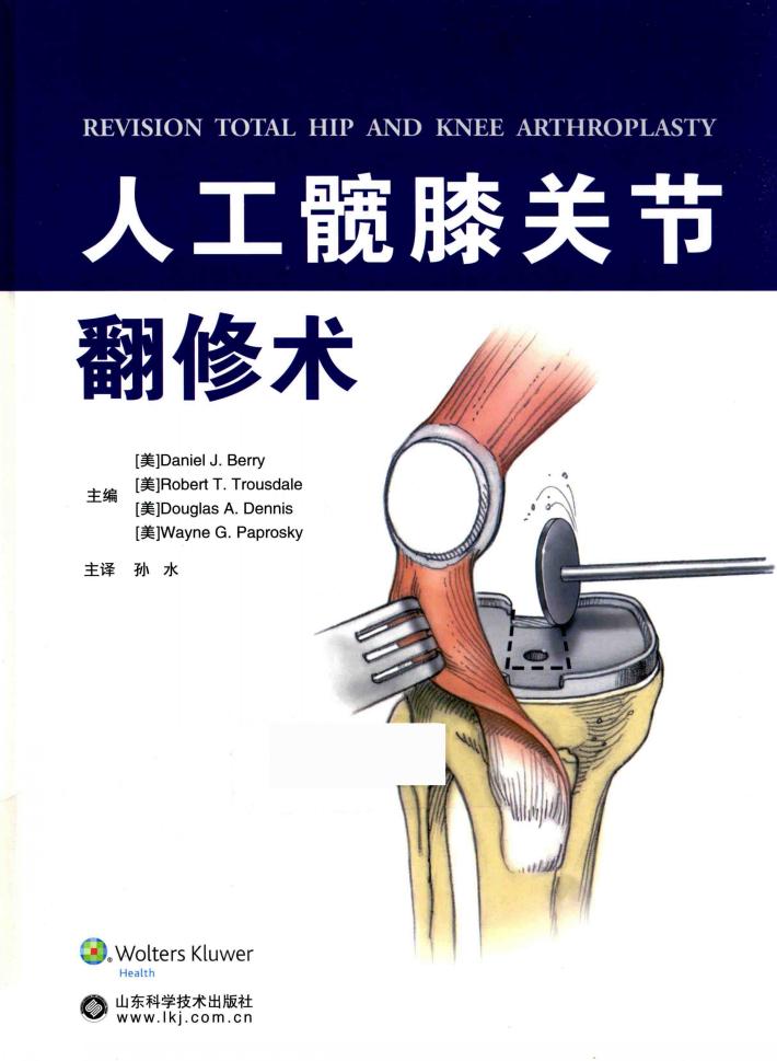 人工髋膝关节翻修术 封面