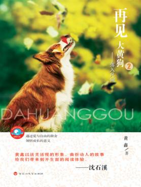 再见，大黄狗  2  落入凡间 封面