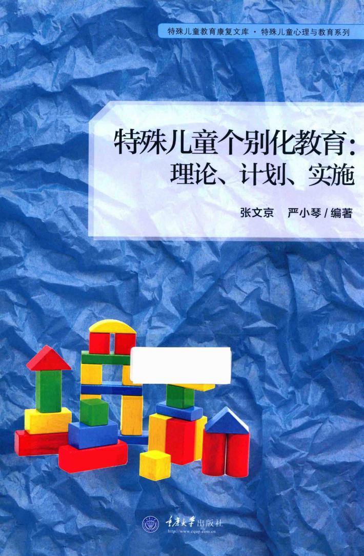 特殊儿童个别化教育  理论、计划、实施 封面
