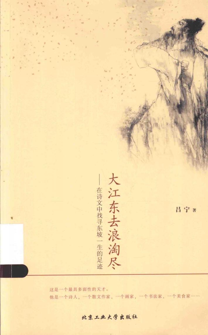 大江东去浪淘尽  在诗文中找寻东坡一生的足迹 封面