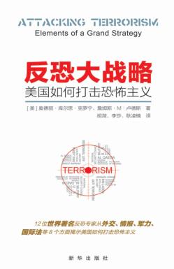 反恐大战略  美国如何打击恐怖主义 封面