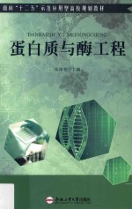 蛋白质与酶工程 封面