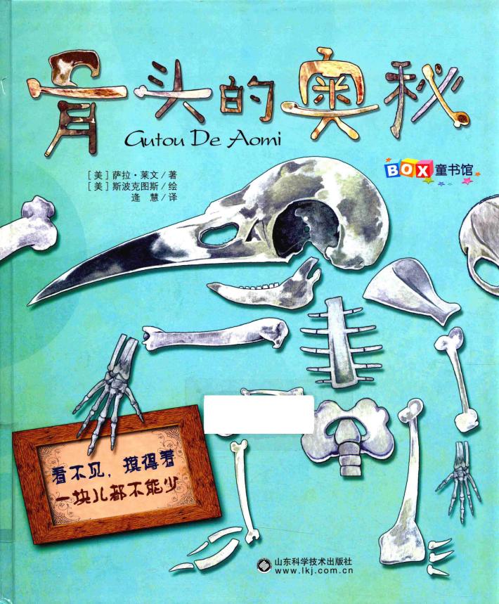 骨头的奥秘 封面