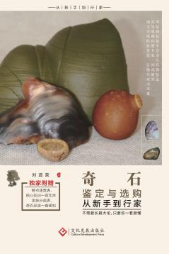奇石鉴定与选购从新手到行家 封面
