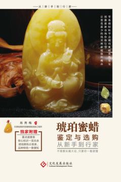 琥珀蜜蜡鉴定与选购从新手到行家 封面