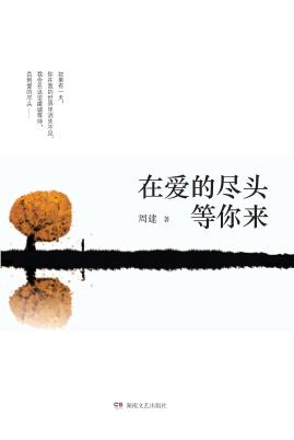“大风”原创长篇小说丛书  在爱的尽头等你来 封面