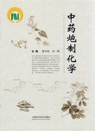 中药炮制化学 封面