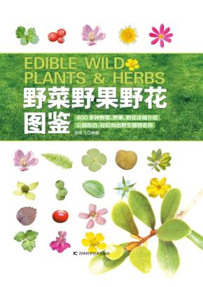 野菜野果野花图鉴 封面