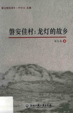 磐安佳村  龙灯的故乡 封面