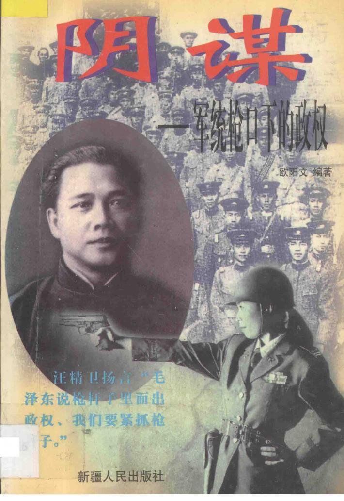 阴谋  军统枪口下的政权 封面