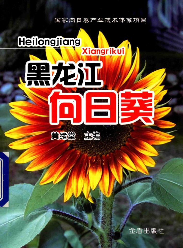 黑龙江向日葵 封面
