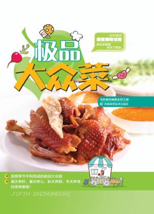 极品大众菜 封面