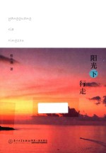阳光下行走 封面