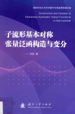子流形基本对称张量泛函构造与变分 封面