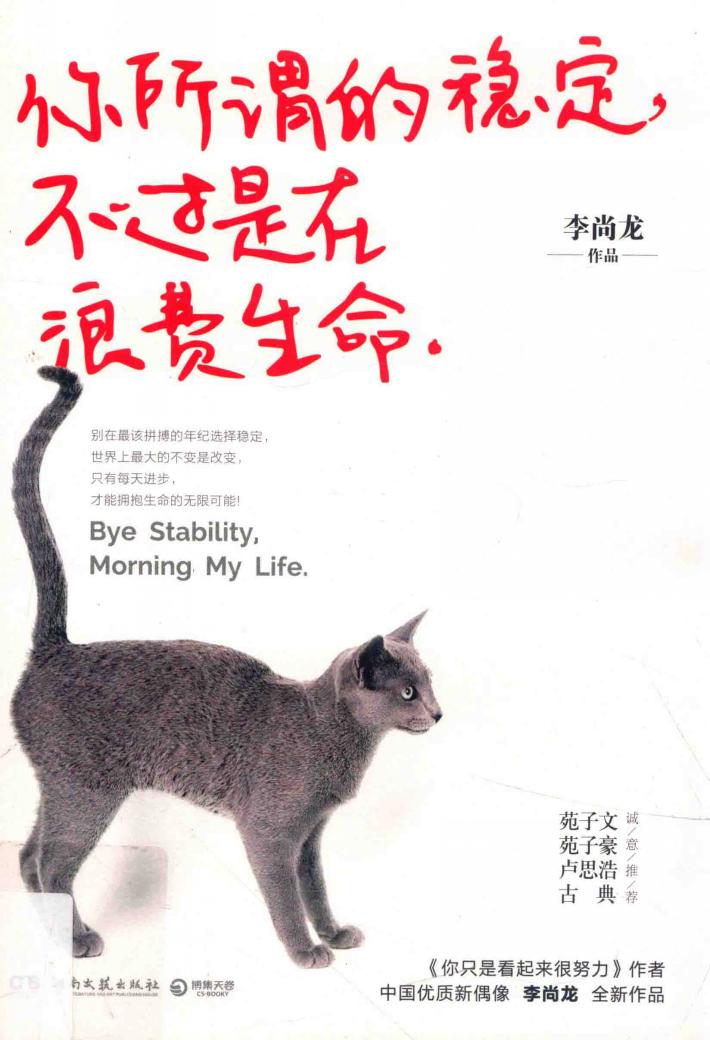 你所谓的稳定，不过是在浪费生命 封面