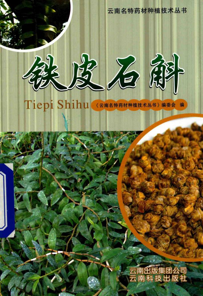 云南名特药材种植技术丛书  铁皮石斛 封面