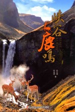 峡谷鹿鸣 封面