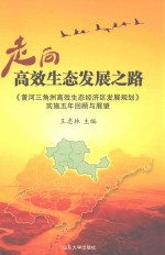 走向高效生态发展之路  《黄河三角洲高效生态经济区发展规划》实施五年回顾与展望 封面