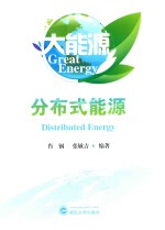 大能源  分布式能源 封面