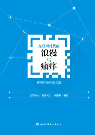 互联网时代的浪漫与痛痒  传统行业转型之道 封面