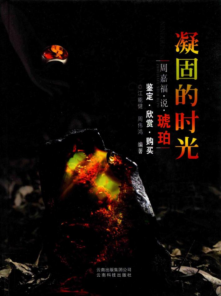 凝固的时光 封面