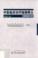 中医临床诊疗指南释义  肛肠疾病分册 封面