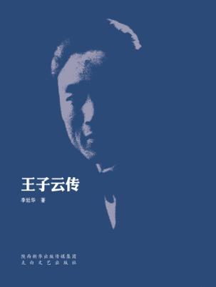 王子云传 封面