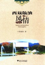 西双版纳风情 封面