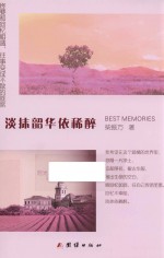 淡抹韶华依稀醉 封面