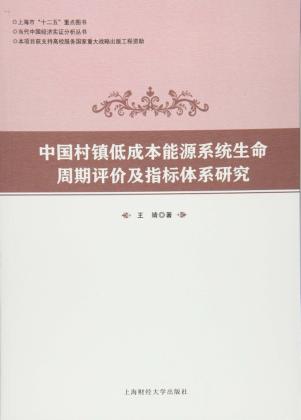 当代中国经济实证分析丛书  中国村镇低成本能源系统生命周期评价及指标体系研究 封面