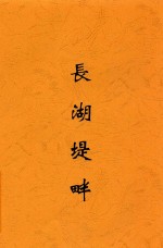 长湖堤畔 封面