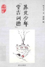 我们小时候·苏北少年堂吉诃德 封面