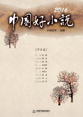 中国好小说  中篇卷  2016 封面