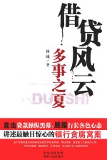 借贷风云  多事之夏 封面