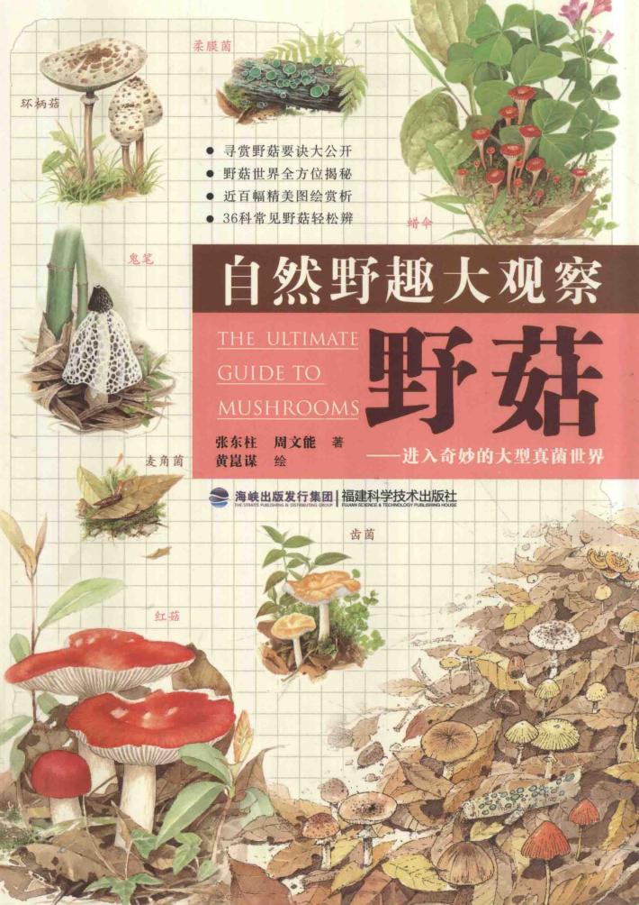 自然野趣大观察  野菇  进入奇妙的大型真菌世界 封面