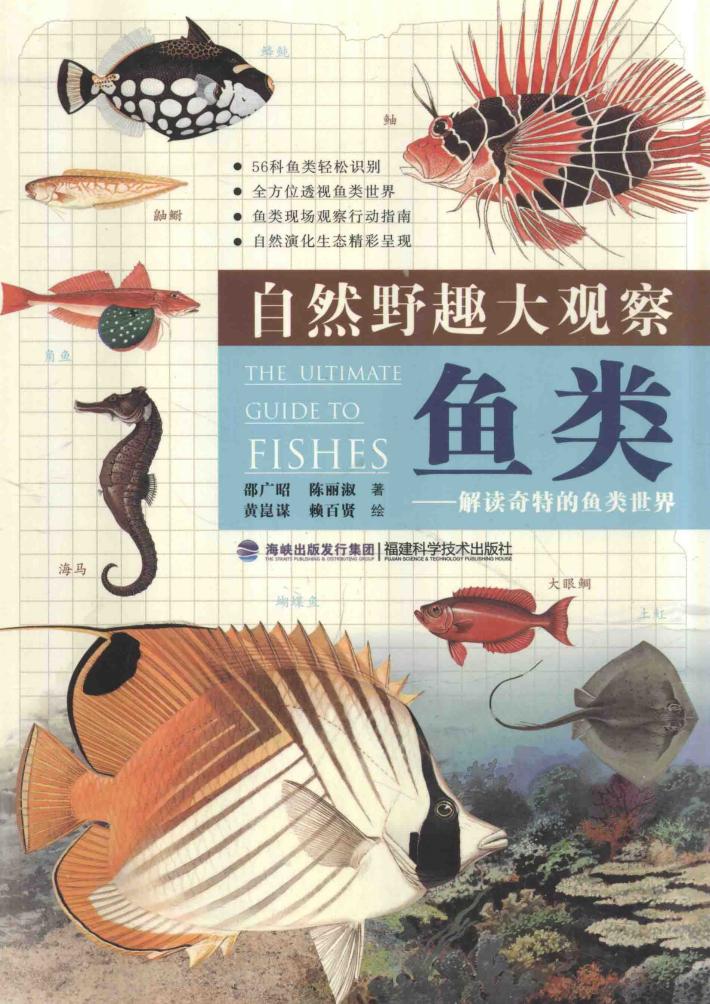 自然野趣大观察  鱼类  解读奇特的鱼类世界 封面