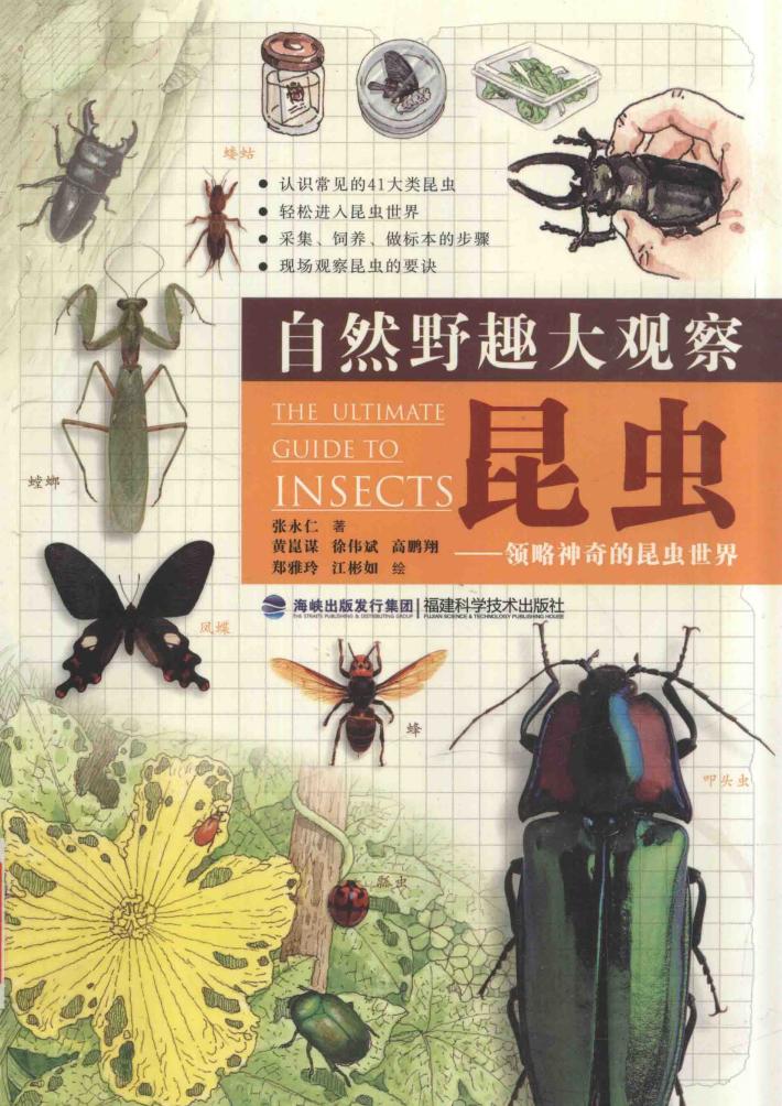 自然野趣大观察  昆虫  领略神奇的昆虫世界 封面