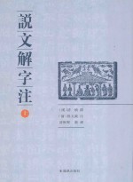说文解字注  上 封面