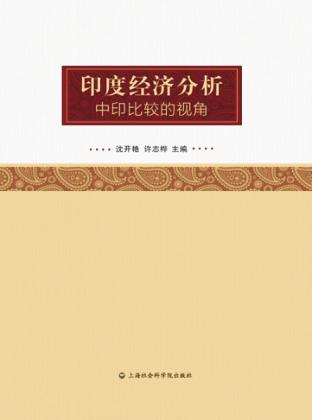 印度经济分析  中印比较的视角 封面