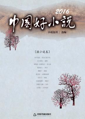 2016中国好小说  微小说卷 封面