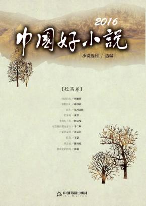 2016中国好小说  短篇卷 封面