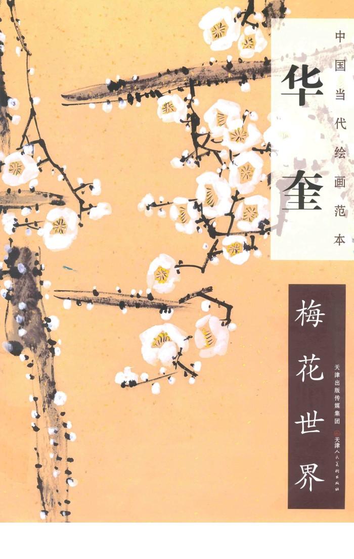 华奎  梅花世界 封面