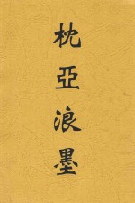 枕亚浪墨 封面