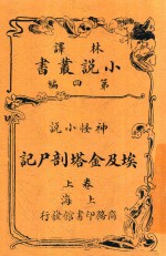 埃及金塔剖尸记  上 电子书封面