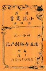 埃及金塔剖尸记  中 电子书封面