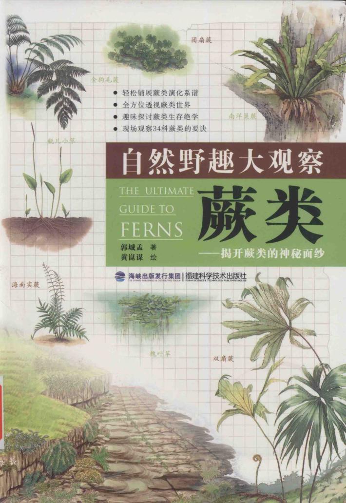 自然野趣大观察  蕨类  揭开蕨类的神秘面纱 封面
