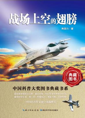 战场上空的翅膀 封面