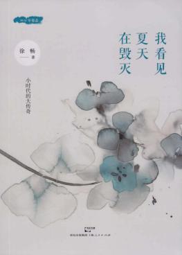我看见夏天在毁灭 封面
