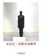 安东尼 葛姆雷谈雕塑 封面